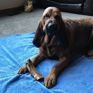 Meet your Posher, Michele